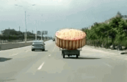 【唐樂(lè)宮】百因必有果，你愛(ài)吃的月餅就是我！(圖1)